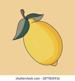 Green yellow lemon, lime vector