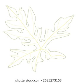 green and yellow line leaf 