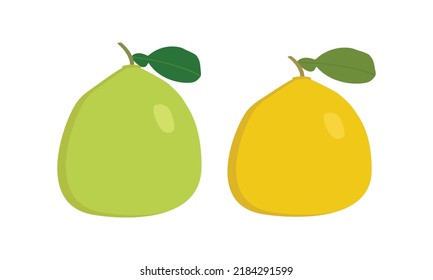 Green and yellow pomelo clipart. Simple pomelo fruit flat style vector design illustration isolated on white. Summer fruits for healthy lifestyle. Organic fruit. Mid Autumn Festival fruits concept