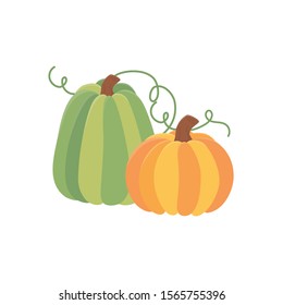 green and yellow pumpkins vegetables fresh vector illustration