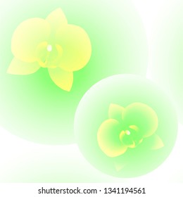 Green and yellow seamless pattern with orchids