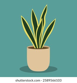 Green, yellow snake plant sansevieria in a cream pot. A plant for a cozy home and office. Vector flat illustration.