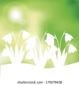 Green and yellow spring background with sunlight