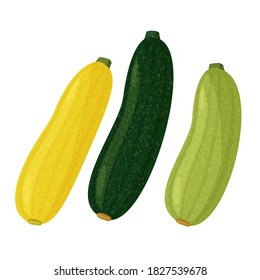 Green And Yellow Squash And Zucchini On White Background. Vector Realistic Meal Collection.