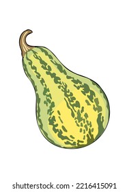 Vector de calabaza rayada verde y amarilla ilustraciones realistas aisladas en fondo blanco. Símbolo de Halloween y acción de gracias. Plantilla de diseño.