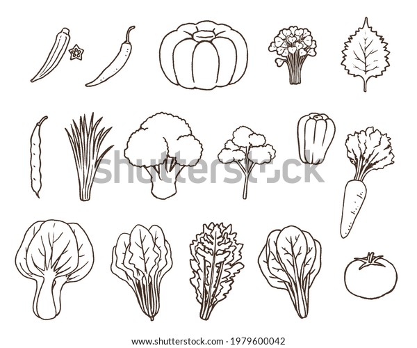 Green Yellow Vegetables 01line Drawing Stock Vector (Royalty Free) 1979600042 Shutterstock