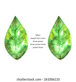 Green and yellow watercolor eco leaves isolated