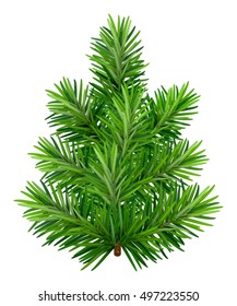 Green young Christmas tree isolated on white background. Illustration in vector format