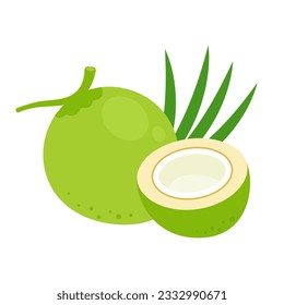 El coco verde y joven y la mitad aislado de fondo blanco. Icono de Cocos nucifera. Ilustración vectorial de frutos exóticos tropicales en estilo plano.