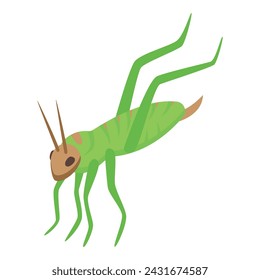 Green young grasshopper icon isometric vector. Art ant. Happy insect