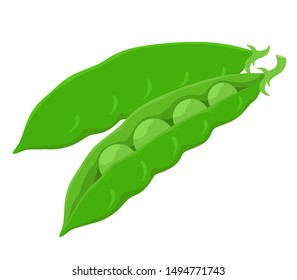 Green young peas in tarts with peas. Vector illustration in cartoon style. Isolates on a white background.
