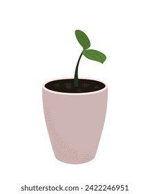 Green young plant sprout growing in pink cute pot. Spring vector pattern with texture. Flower picture for children, magazine, illustration, biology, textbook, social networks