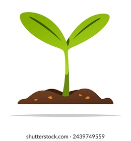 Green young plant vector isolated illustration