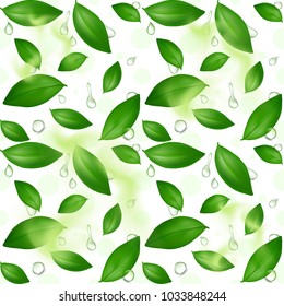 Green Young Tea Leaves on a Branch. Seamless Pattern. Tea. Vector illustration. 