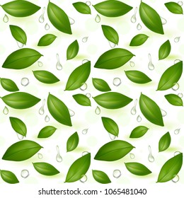 Green Young Tea Leaves. Seamless Pattern. Tea. Vector illustration