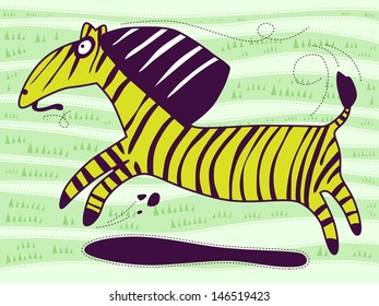 Green Zebra with a large mane of jumping on the grass tongue hanging out.