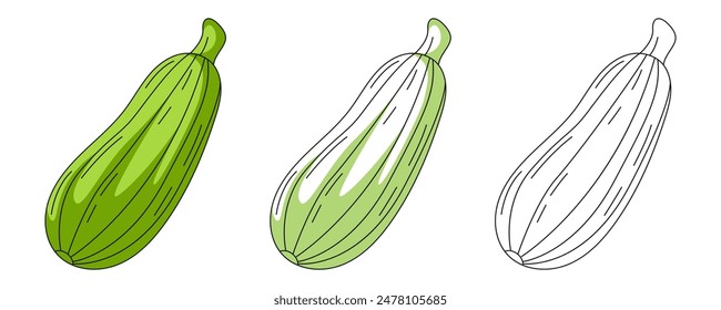 Green zucchini, colorful and line icons set. Farm vegetable vector outline icon, monochrome, color illustration. Healthy nutrition, organic food, vegetarian product. For sticker, logo, coloring book