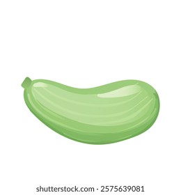 Green zucchini in flat design. Courgette vegetable, vegetarian dieting. Vector illustration isolated.