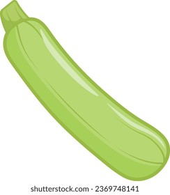 Green zucchini on isolated background, outline with color fill style vector illustration