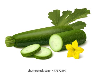 Green zucchini with slices, yellow flower and leaf. Isolated on white background. Realistic vector illustration.