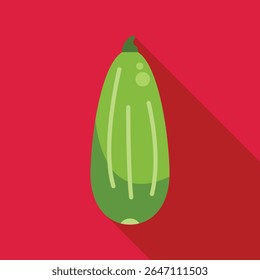 Green zucchini squash with long shadow on red background, minimalist illustration of a healthy vegetable