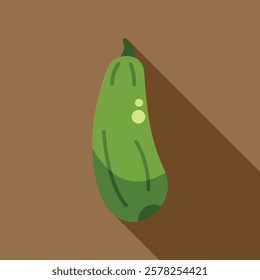 Green zucchini squash lying down with long shadow, simple flat design vegetable illustration