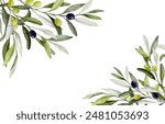 Greenery background with olive tree decoration. Watercolor Nature olive branch illustration