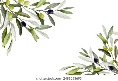 Greenery background with olive tree decoration. Watercolor Nature olive branch illustration