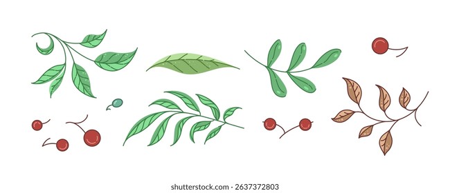 Greenery and berry clipart set elegant botanical vector elements for digital stickers, tablet planners, bullet journals, branding, DIY crafts, and printable decor