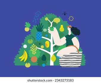 Greenery, ecology -modern flat vector concept illustration of a woman gathering fruit from the 40 fruit tree. Metaphor of environmental sustainability and protection, closeness to nature