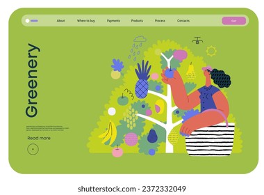 La vegetación, la ecología - moderna ilustración de un vector plano de una mujer recolectando fruta de los 40 árboles frutales. Metáfora de sostenibilidad y protección ambiental, cercanía a la naturaleza