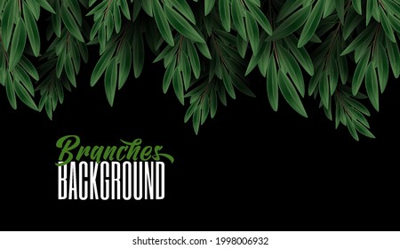 Greenery Forest branch leaves on a dark background. Natural Realistic Green Leaf. Luxury banner and place for text. Abstract Design Element. Vector illustration.