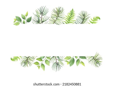 Greenery frame with pine, fern and wild herbs. Vector illustration.