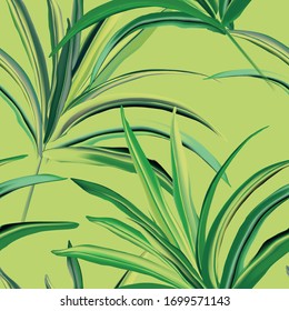 Greenery fresh palm background design. Tropical leaf various banana or coconut jungle, rainforest wild realistic illustration seamless pattern. Vector.