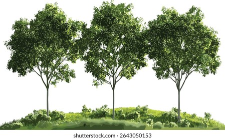 Verde jardinagem árvores vetor clipart fundos transparentes, plantas, design da natureza, ilustração ambiental, cenário ao ar livre, vegetação exuberante, silhuetas de árvores