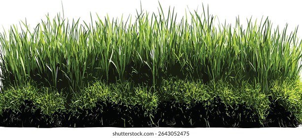 Greenery grass meadow cut out, transparent background, nature landscaping, outdoor eco friendly, fresh grass, sustainable nature, natural environment, outdoor scenery