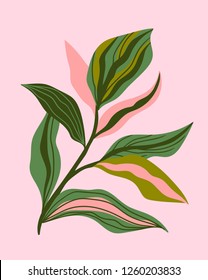 Greenery greeting/invitation card template design, green leaves on the pink background. Vector hand drawn card.