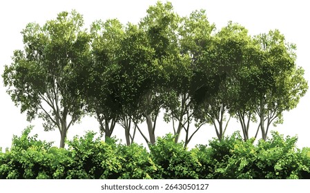 Greenery jungle trees landscape illustration, transparent background, forest, tropical plants, nature, wildlife, outdoor, eco friendly, landscape design, foliage, natural beauty