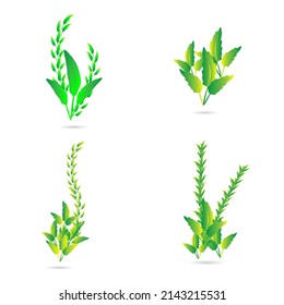 Greenery leaf plants decorative abstract background art graphic design pattern vector illustration
