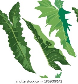Greenery Leaves Pattern on illustration graphic vector