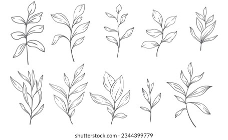 Greenery Line Art, Fine Line Leaves  Hand Drawn Illustration. Botanical Coloring Page