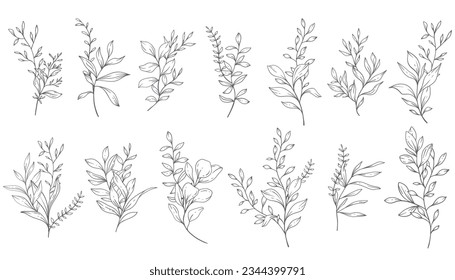 Greenery Line Art, Fine Line Leaves  Hand Drawn Illustration. Botanical Coloring Page