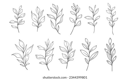 Greenery Line Art, Fine Line Leaves  Hand Drawn Illustration. Botanical Coloring Page