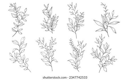 Greenery Line Art, Fine Line Leaves  Hand Drawn Illustration. Botanical Coloring Page