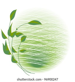 Greenery on the background of a spot