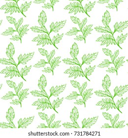 Greenery parsley  seamless pattern. Green outline hand-drawing  isolated on a white background. Vector illustration.