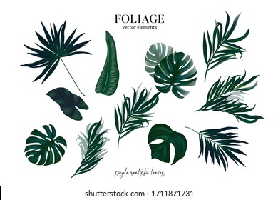 Greenery plant set of exotic tropical leaves isolated on white background. Watercolor hand drawn illustration banana leaf, monstera, ficus, coconut palm in vector.