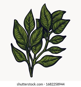 Greenery plants isolated hand drawn vector illustration. colorful bouquet botany graphic design clipart elements for your creative projects. wedding invitations, postcards, posters and tattoos.