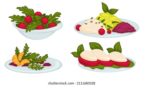 Greenery and salads, tomatoes and cheese, plated with served food and dishes. Restaurant and cafe assortment of dishes in menu. Vegan and vegetarian snacks with mandarin. Vector in flat style