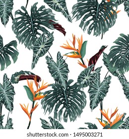 Greenery Seamless pattern of tropical forest with many kind of exotic plants and leaves in vector ,Design for fashion fabric,web,wallpaper,and all prints on white background color